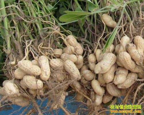 �����۸�Ԥ�⣺2018���»����۸�Ԫ���������