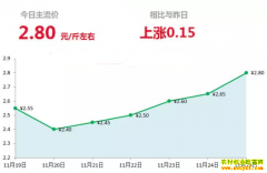 2018年11月25日山东昌邑、安丘最新生姜价格行情