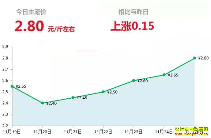 山东昌邑生姜市场今日最新大姜价格行情