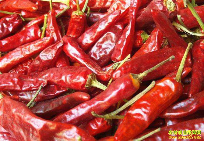 2018����ظ������۸����Ǵ������ͬ�����ֵ