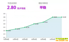 2018年11月26日山东昌邑、安丘最新生姜价格行情