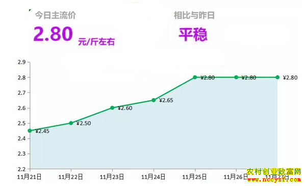 山东昌邑生姜市场今日最新大姜价格行情