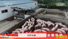 [�Ƽ�Է]�ӱ���ˮ����ǿ�����С�����������