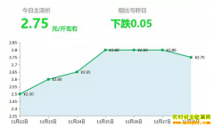 2018年11月28日山东昌邑、安丘最新生姜价格行情