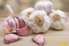 �񶬴���۸�ߵͷֻ� ר��Ԥ�ⴺ��ǰ����۸���������