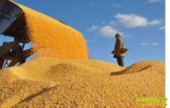 �г��չ�����������С��۸����