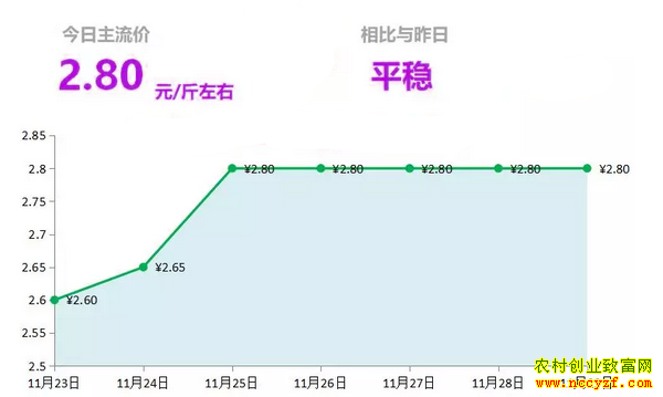 山东昌邑生姜市场今日最新大姜价格行情