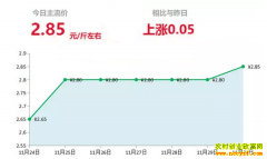 2018��11��30��ɽ�����ء��������������۸�����