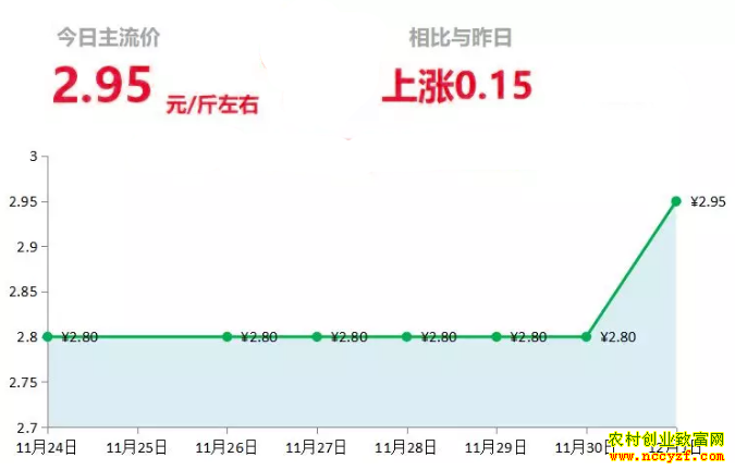 ɽ�����������г��������´󽪼۸�����