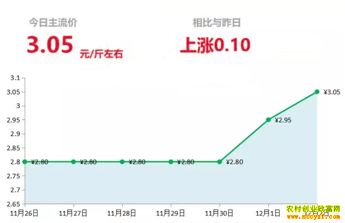 ɽ�����������г��������´󽪼۸�����