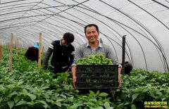 ��ͥũ����ζ�λ��ʲô���ļ�ͥũ��ģʽ�ʺ�ũ��Ӫ��