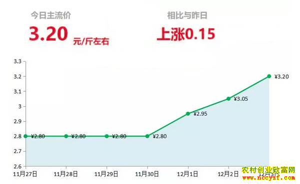 ɽ�����������г��������´󽪼۸�����