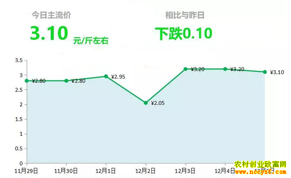 ɽ�����������г��������´󽪼۸�����