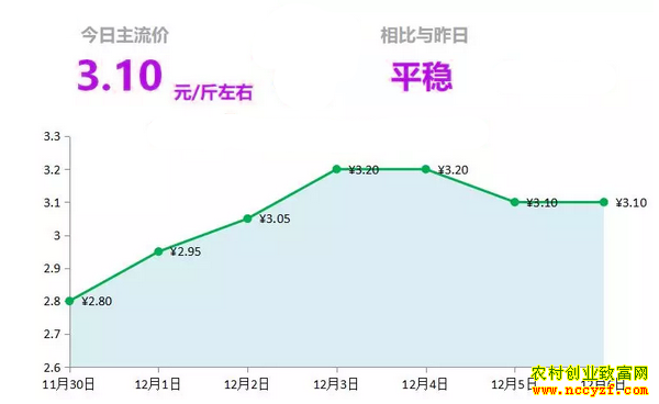 ɽ�����������г��������´󽪼۸�����