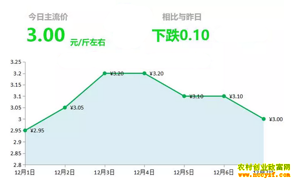 山东昌邑生姜市场今日最新大姜价格行情