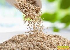 2018��֥��۸񲨶��� ר��Ԥ��δ��֥��۸�����