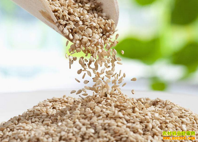 2018��֥��۸񲨶��� ר��Ԥ��δ��֥��۸�����