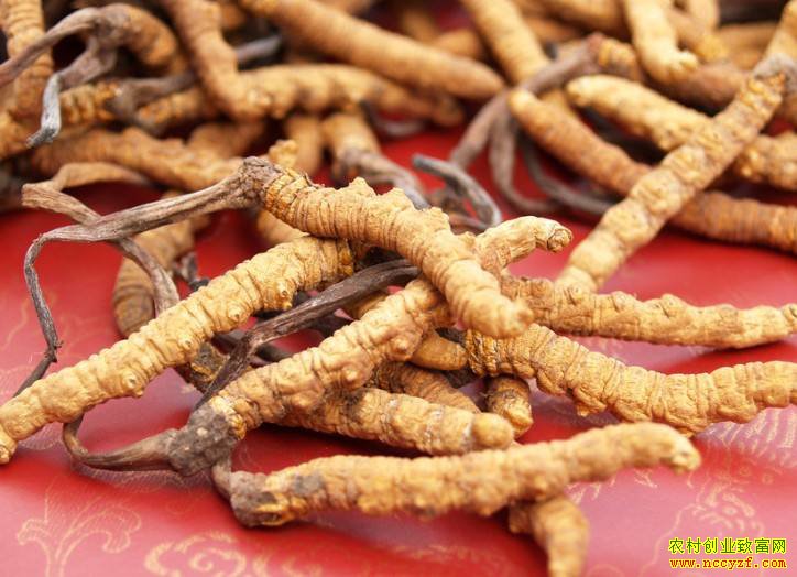 �����Ĳ�ÿ�����Ǽ�2000Ԫ����ҩ���Ǽ۵�ԭ����ʲô��