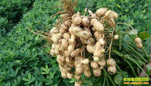 δ�������۸��������ǿռ� ������������äĿ����