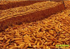 �¼����׼۸�����һ�ɶ� ����ũ����ʱ��������