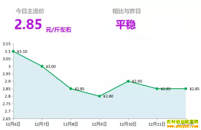 山东昌邑生姜市场今日最新大姜价格行情