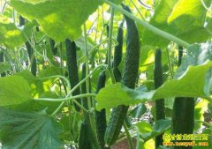 �ƹϼ۸���� ר��Ԥ��δ���ƹ��Ǽۿռ�����