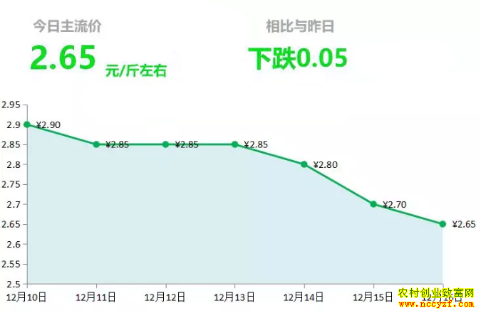 山东昌邑生姜市场今日最新大姜价格行情