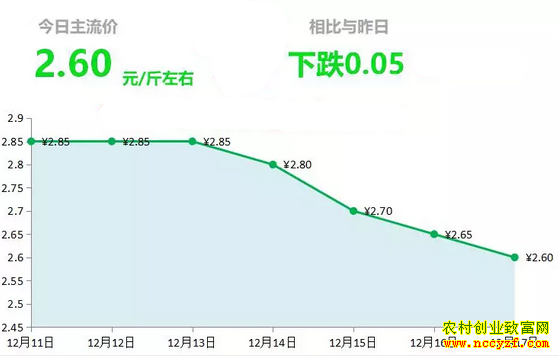 山东昌邑生姜市场今日最新大姜价格行情