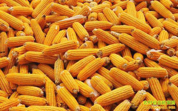 ������̬�ɶ� ���׼۸�������