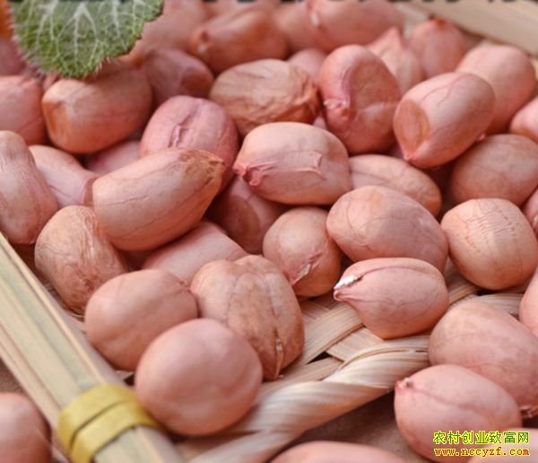 2019�껨���۸�����