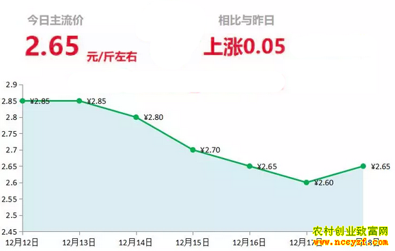 山东昌邑生姜市场今日最新大姜价格行情