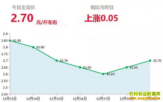 山东昌邑生姜市场今日最新大姜价格行情