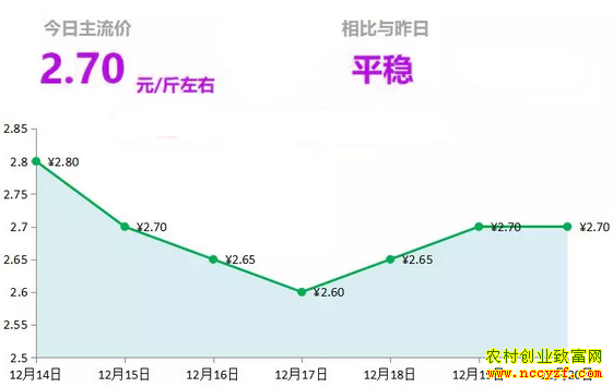 山东昌邑生姜市场今日最新大姜价格行情