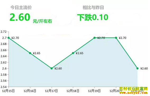 山东昌邑生姜市场今日最新大姜价格行情
