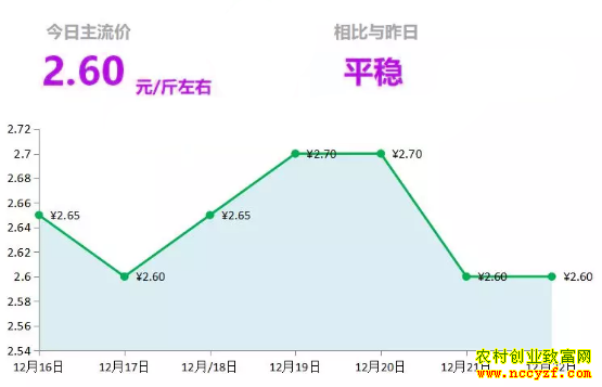 山东昌邑生姜市场今日最新大姜价格行情