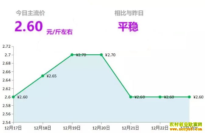 山东昌邑生姜市场今日最新大姜价格行情