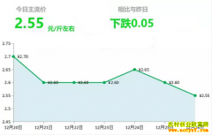2018年12月26日山东昌邑、安丘黄姜(新姜)最新价格行情