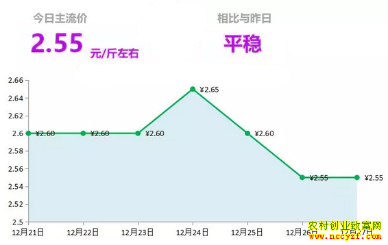 山东昌邑生姜市场今日最新大姜价格行情