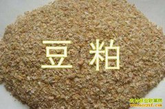 ���ն��ɼ۸�2022.12.9ȫ�����ɼ۸��ǵ���