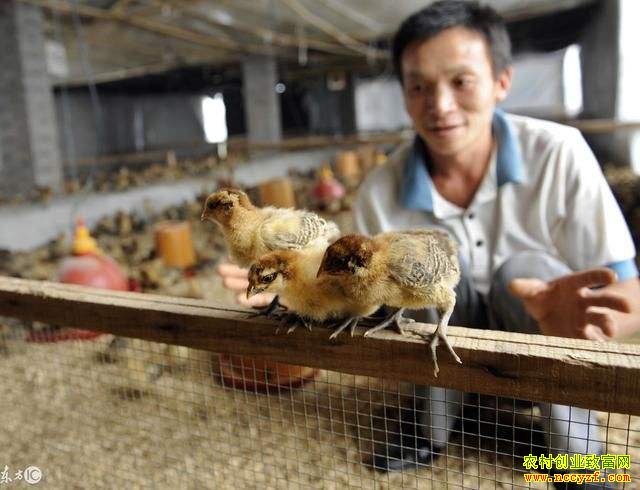 ����������֢״�����η���