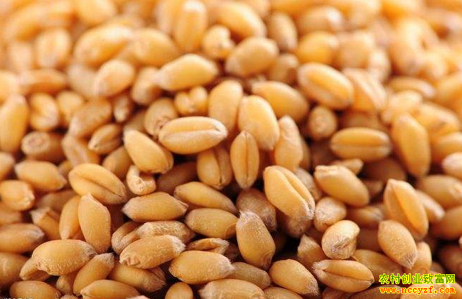 С��۸�������ף������ռ��ж��