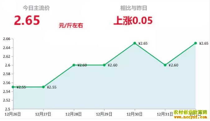 山东昌邑生姜市场今日最新大姜价格行情