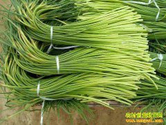 2019�괺��ǰ��޷�۸��������Ʒ���