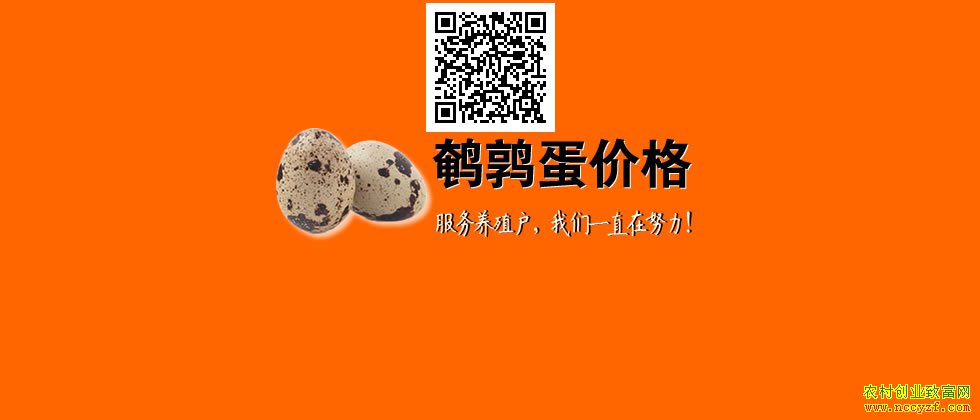 ���ȵ�����Ǯһ�2018�����ȵ��۸񱨼۱�