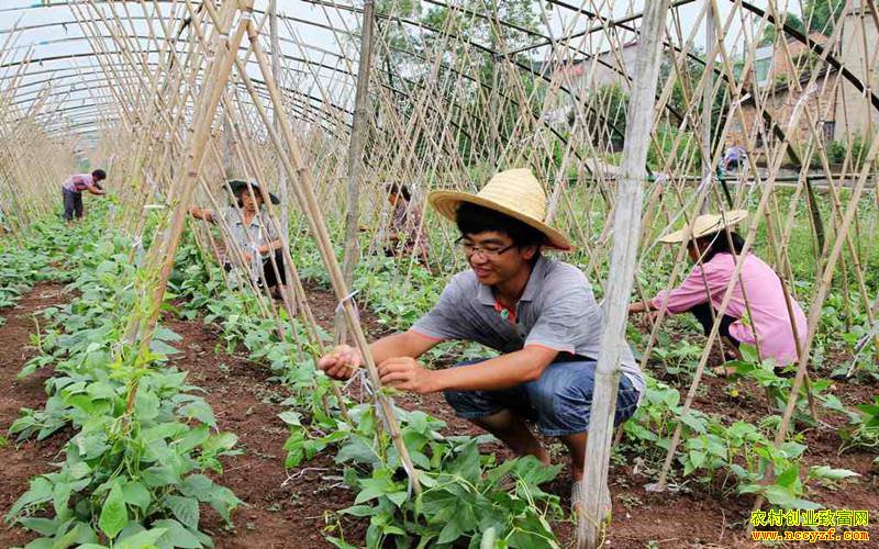 ũ�崴ҵ��������Щ����Ҫ����