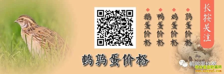 ��ע���ȵ��۸�΢�Ź��ںŽ��ܼ���Ѽ���쵰�۸�