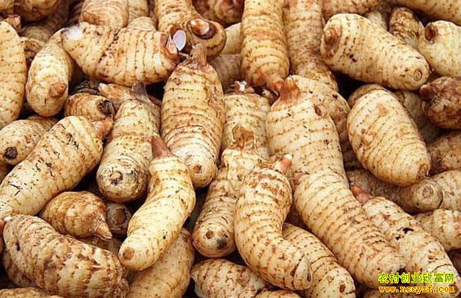 �Ĵ��Ͻ������ź�������ֲ���� �������ճ���Ԫ