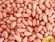 �����г����� ���ڻ����۸���С�ǿ���