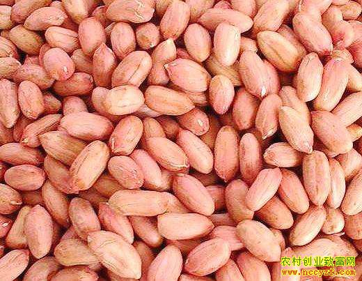 �����г����� ���ڻ����۸���С�ǿ���