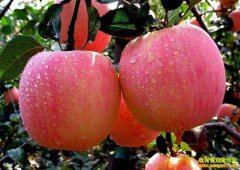 ƻ���۸������� ���˴��ڿ��ܸ�����